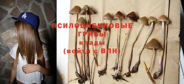 PSILOCYBIN Бронницы