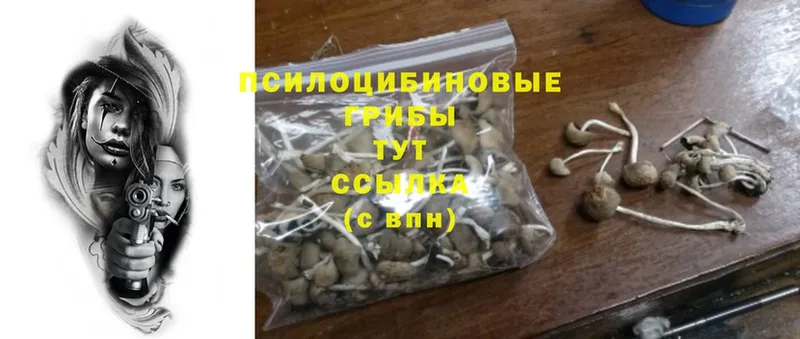 Галлюциногенные грибы GOLDEN TEACHER  Грозный 